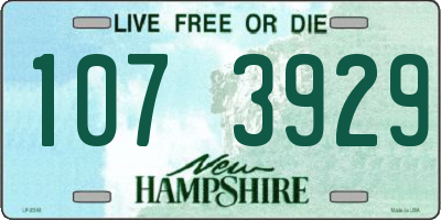 NH license plate 1073929