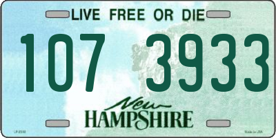 NH license plate 1073933