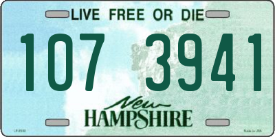 NH license plate 1073941