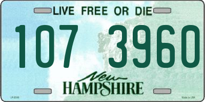 NH license plate 1073960