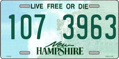 NH license plate 1073963
