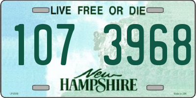 NH license plate 1073968
