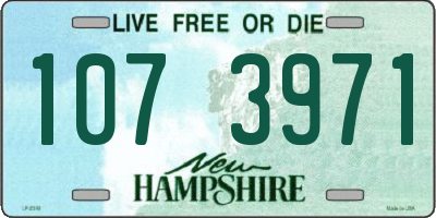 NH license plate 1073971