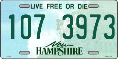 NH license plate 1073973