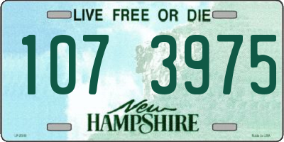 NH license plate 1073975