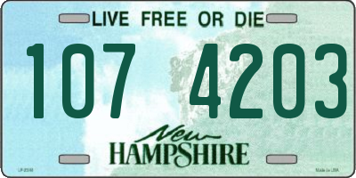 NH license plate 1074203