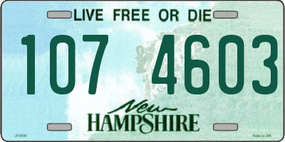 NH license plate 1074603