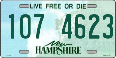 NH license plate 1074623
