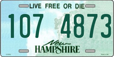 NH license plate 1074873
