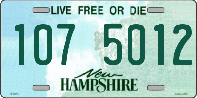 NH license plate 1075012