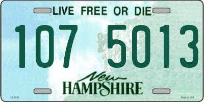 NH license plate 1075013