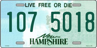 NH license plate 1075018