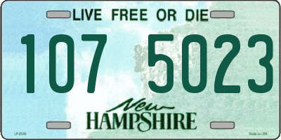 NH license plate 1075023