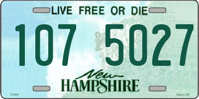 NH license plate 1075027