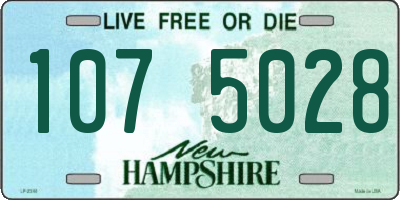 NH license plate 1075028