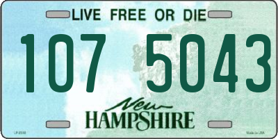 NH license plate 1075043