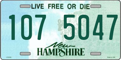 NH license plate 1075047