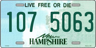 NH license plate 1075063