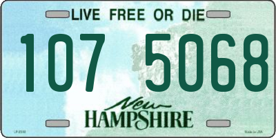 NH license plate 1075068