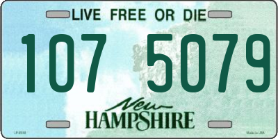 NH license plate 1075079