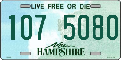 NH license plate 1075080