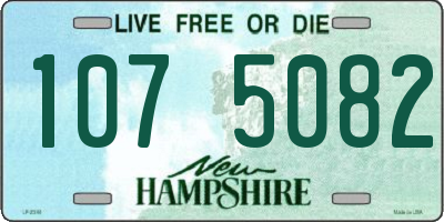 NH license plate 1075082