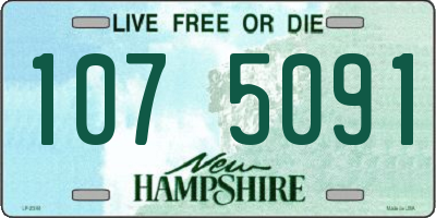 NH license plate 1075091