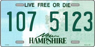 NH license plate 1075123