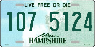 NH license plate 1075124