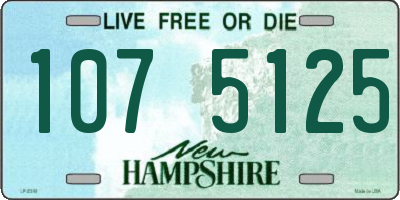 NH license plate 1075125