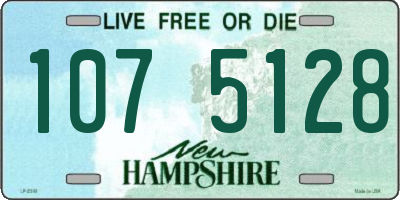 NH license plate 1075128