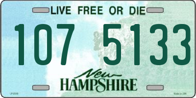 NH license plate 1075133