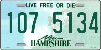 NH license plate 1075134