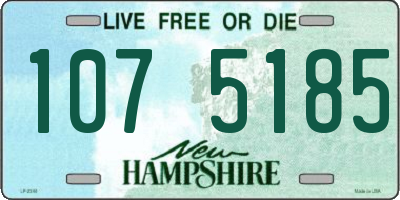 NH license plate 1075185