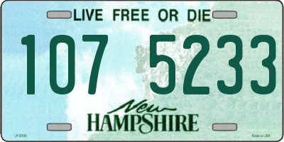 NH license plate 1075233