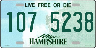 NH license plate 1075238