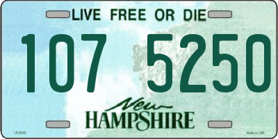 NH license plate 1075250