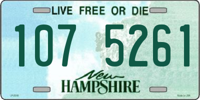 NH license plate 1075261