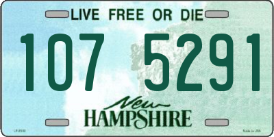 NH license plate 1075291