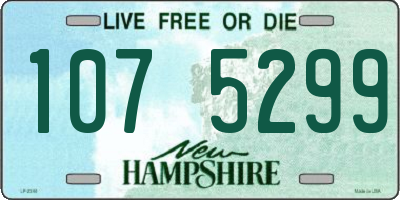 NH license plate 1075299