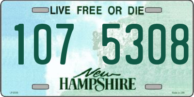 NH license plate 1075308