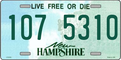 NH license plate 1075310
