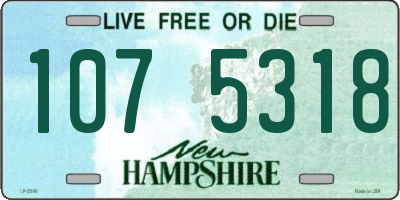 NH license plate 1075318