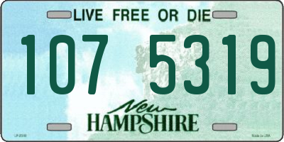 NH license plate 1075319