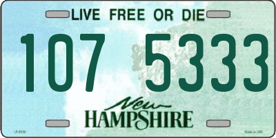 NH license plate 1075333