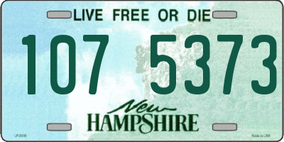 NH license plate 1075373