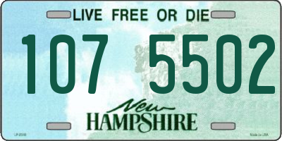 NH license plate 1075502