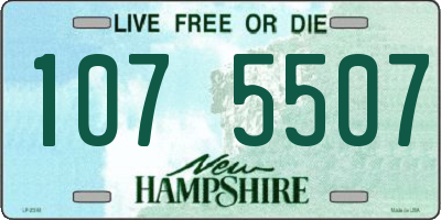 NH license plate 1075507