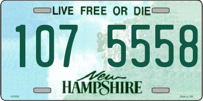 NH license plate 1075558