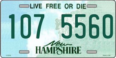 NH license plate 1075560